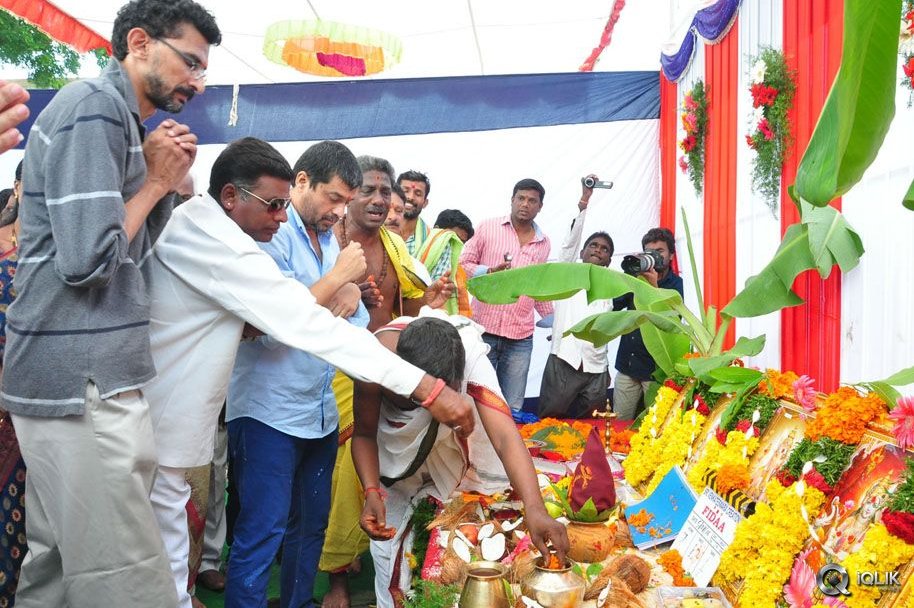 FIDAA-movie-Opening